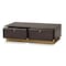 Baxton Studio Cormac Transitional Dark Brown Finished Wood and Gold Metal 2-Drawer Coffee Table 208-12137 - alternate 4